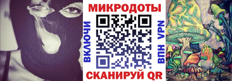Купить где  Новоузенск  Галлюциногенные грибы мицелий 